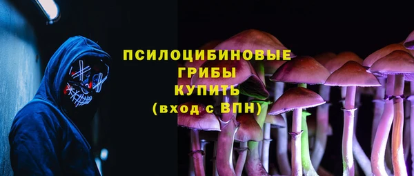 ешки Алексин