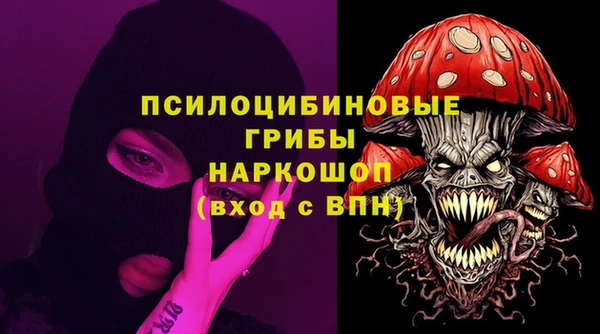 ешки Алексин